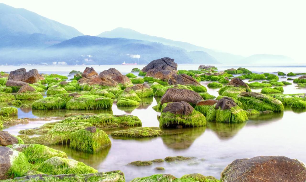 Hotel Bolero & Homestay Da Nang